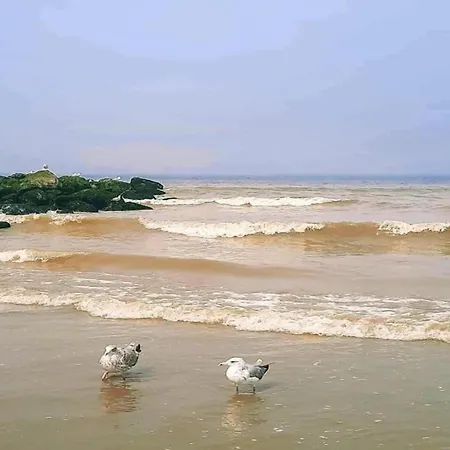 In Near The Beach, Cleaning Included 니우포르트